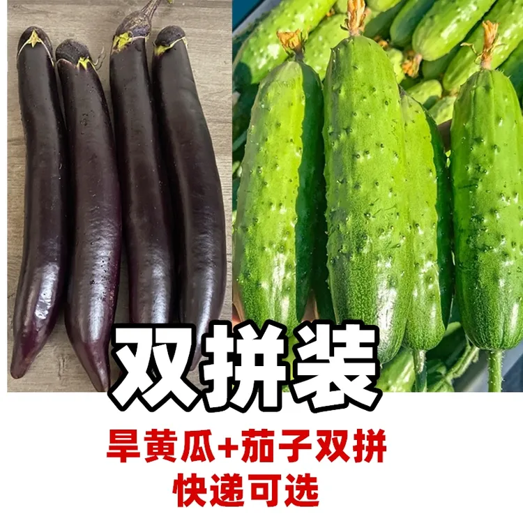 东北旱黄瓜+东北茄子混合装新鲜东北旱黄瓜生产水果小黄瓜+黑茄子