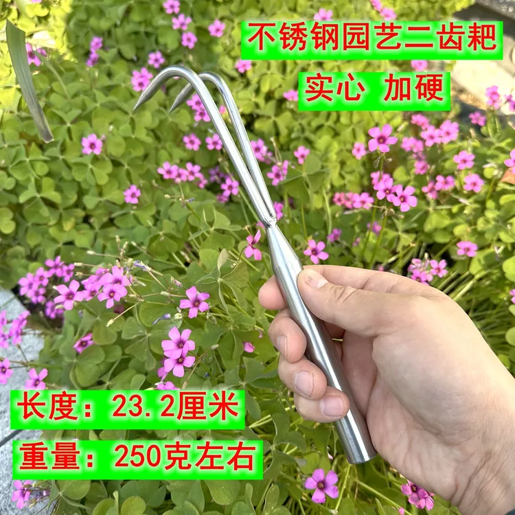 实心园艺不锈钢松土耙二齿加厚种花工具家用阳台菜园结实清理花盆