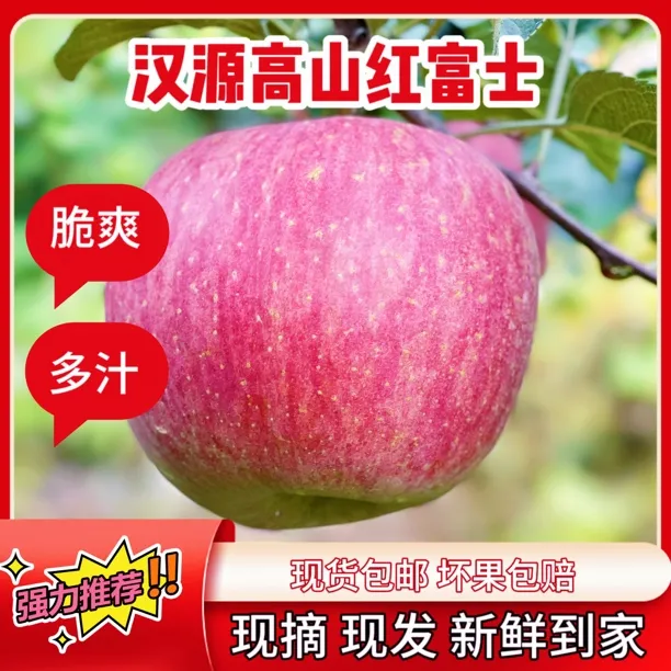 汉源高山丑苹果脆甜爽口香5斤装-8.5斤装包邮新鲜采摘