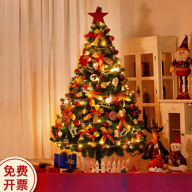 2024圣诞树家用套餐加密diy发光大型摆件新款高级感ins圣诞节装饰