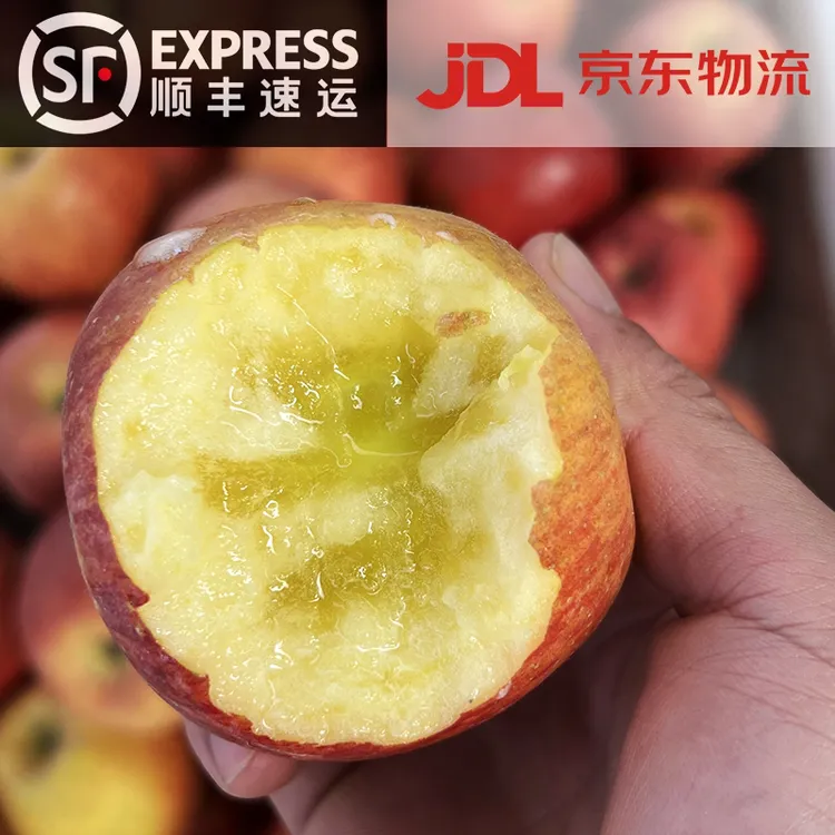 【顺丰/京东】四川大凉山盐源高原冰糖心红富士丑苹果 5/8斤装