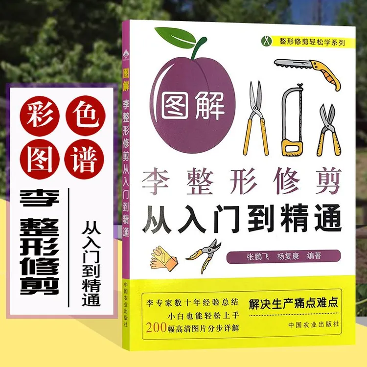 图解李整形修剪从入门到精通 李树整形修剪  李子树栽培