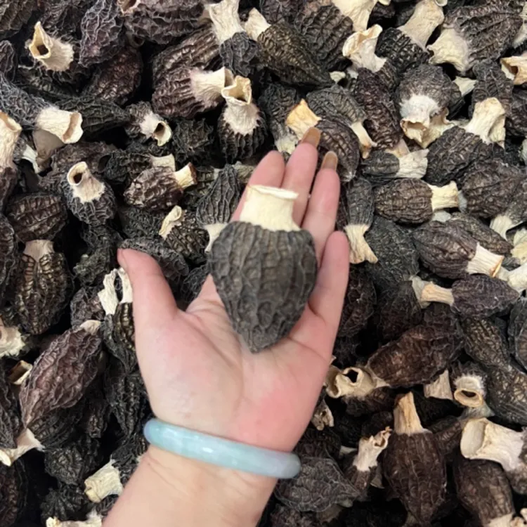 羊肚菌干货：草莓型六妹，颜色黑，菌香味浓