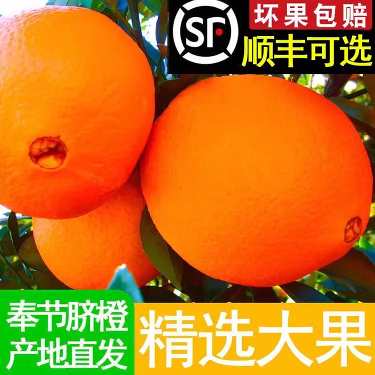 【顺丰/京东】正宗重庆奉节脐橙新鲜带枝带叶产地直发九甜一酸