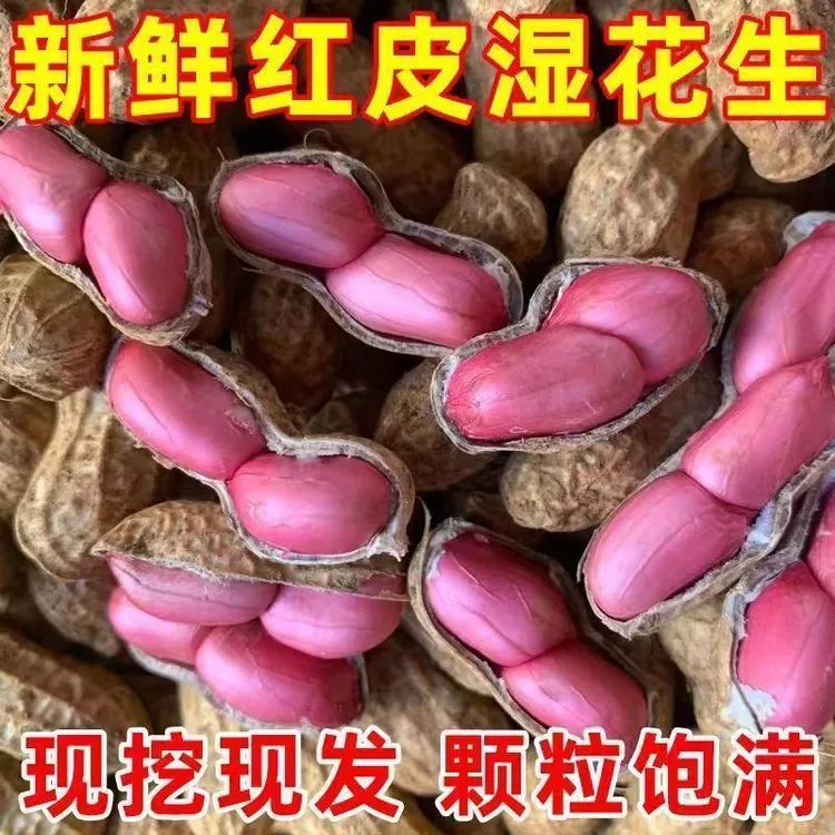 新鲜湿花生生鲜现挖贵州本地土花生农家菜