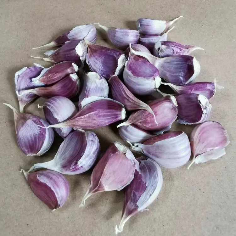 贵州高山农家紫皮蒜红蒜香辣味大蒜鸡蛋干蒜