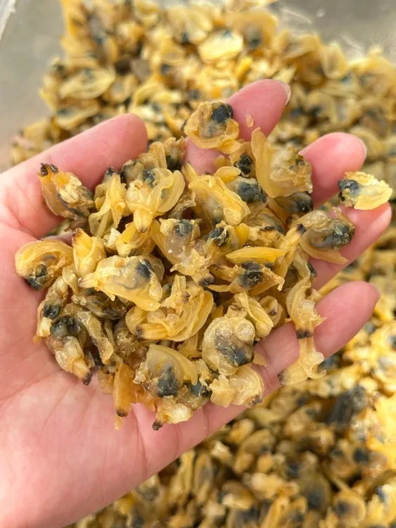 淡晒花蛤干瑶柱干货无沙海鲜食材