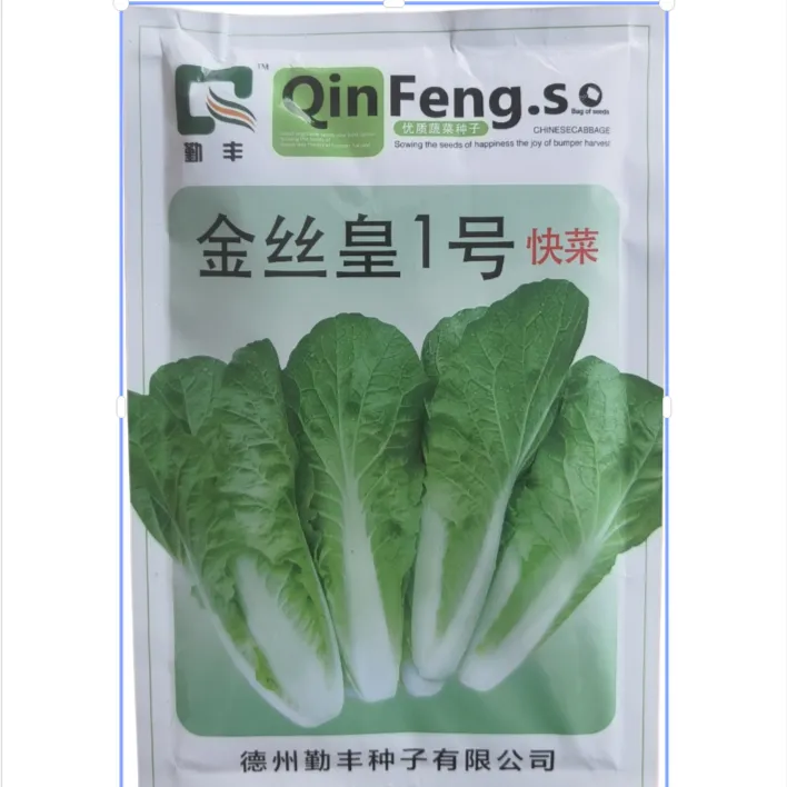 勤丰金丝皇1号快菜产地直发批发优质绿色种子
