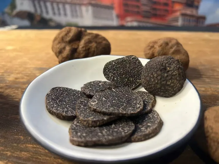 云南本地黑松露500g
