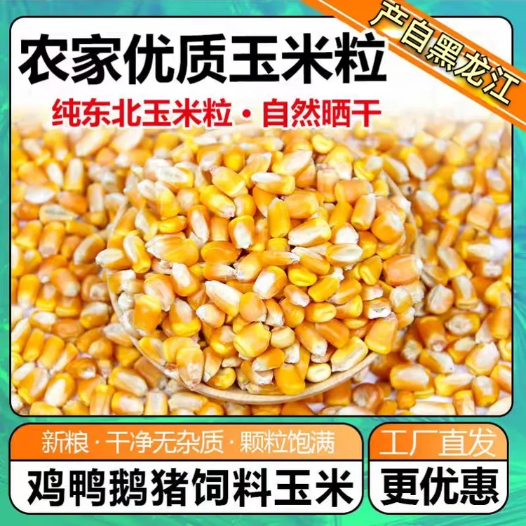 东北新玉米粒20斤喂鸡鸭喂鸟鸽粮特价5kg优质干玉米粒5斤钓鱼打窝