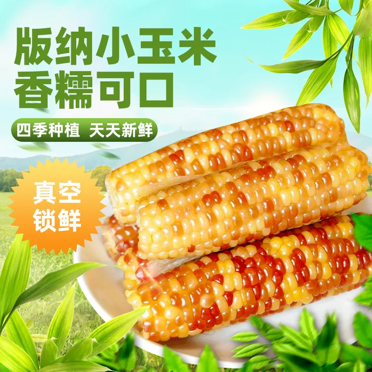 【秋石专享】西双版纳香糯小玉米3斤5斤真空独立包装糯玉米香甜