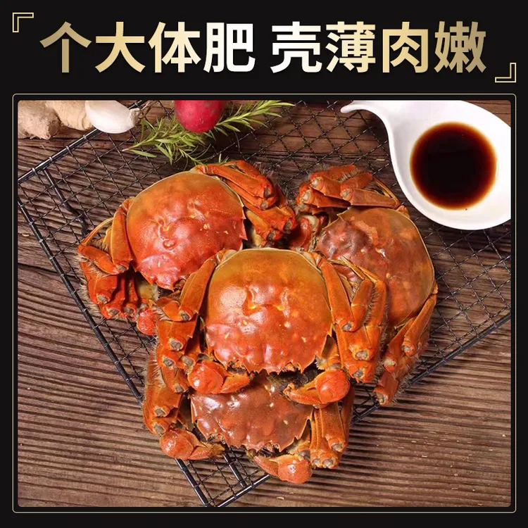 【活蟹】断指大闸蟹 公3.0两左右 9只 母2.0两左右 7只 2-3斤