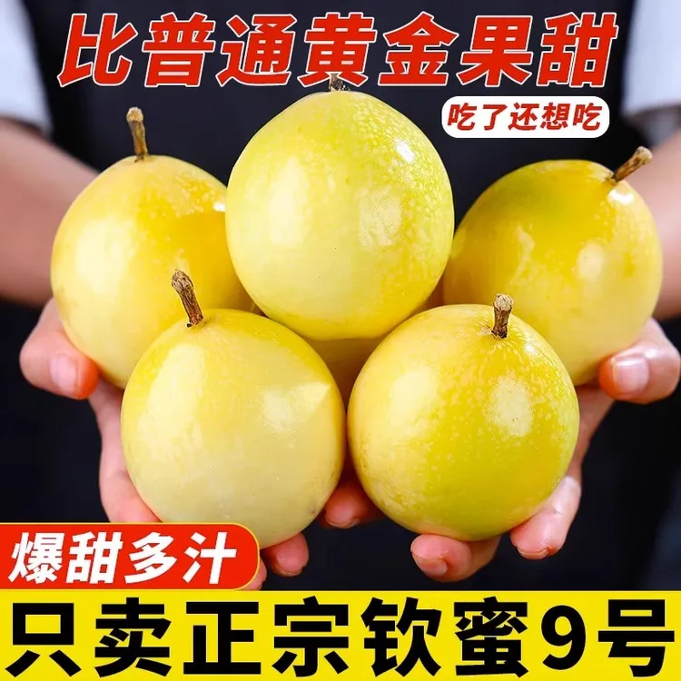 C1【香甜】钦密9号黄金百香果17枚 新鲜水果现摘现发原产地