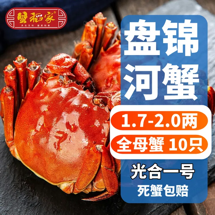 【活蟹】蟹稻家 盘锦河蟹 全母蟹1.7-2.0两 10只  源头直发