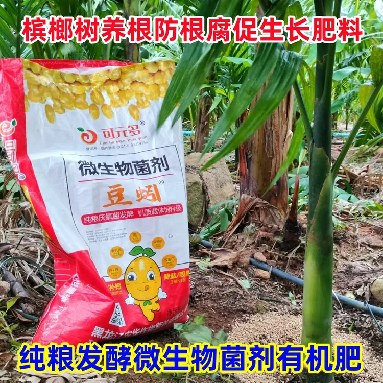 槟榔养根肥黄叶病豆粕肥东北大豆菌肥微生物菌剂有机肥蔬菜肥绿植