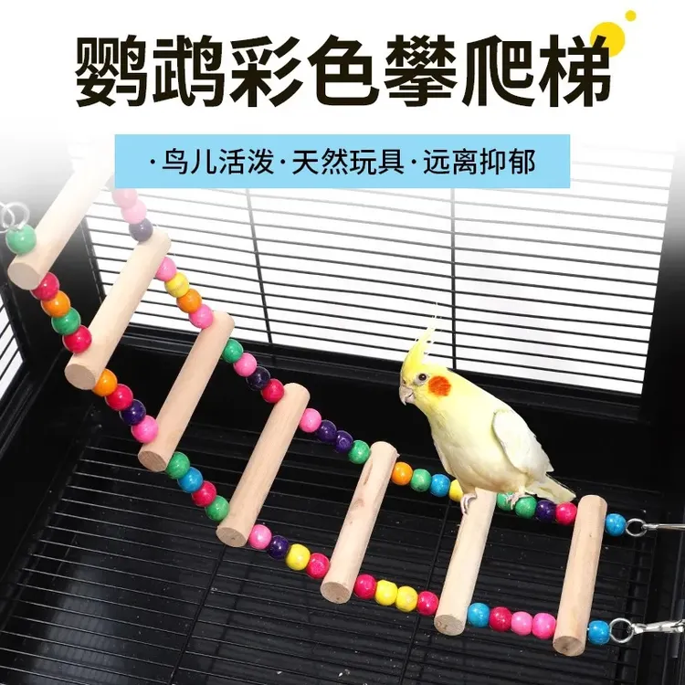 【奇妙妙】鸟用秋千吊环云梯爬梯虎皮牡丹玄凤鸟笼梯子鹦鹉啃咬玩具