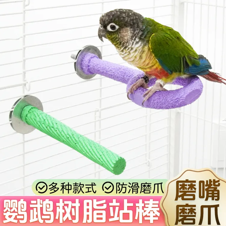 【宠大条】鹦鹉站棒秋千虎皮牡丹玄凤磨爪站杆站架鸟笼用品配件
