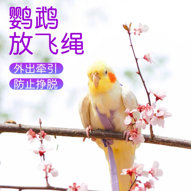 【奇妙妙】鸟用鹦鹉放飞绳玄凤虎皮牡丹牵引绳飞行外出背带遛鸟神器