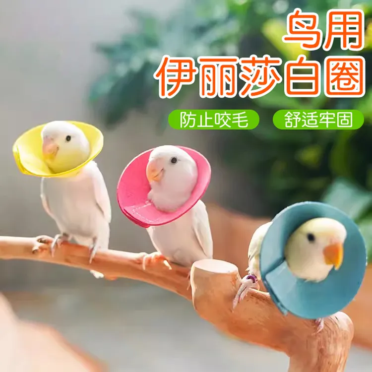 【奇妙妙】鹦鹉鸟伊丽莎白圈防咬毛啄毛受伤防护脖套虎皮牡丹围脖
