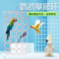 【宠大条】玄凤虎皮鹦鹉攀爬网梯子秋千吊环玩具解闷自嗨云梯站杆
