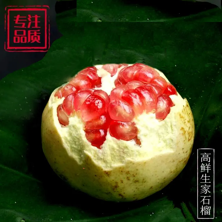 云南蒙自老树石榴绿籽水晶甜石榴薄皮当季新鲜果园现摘 中秋送礼