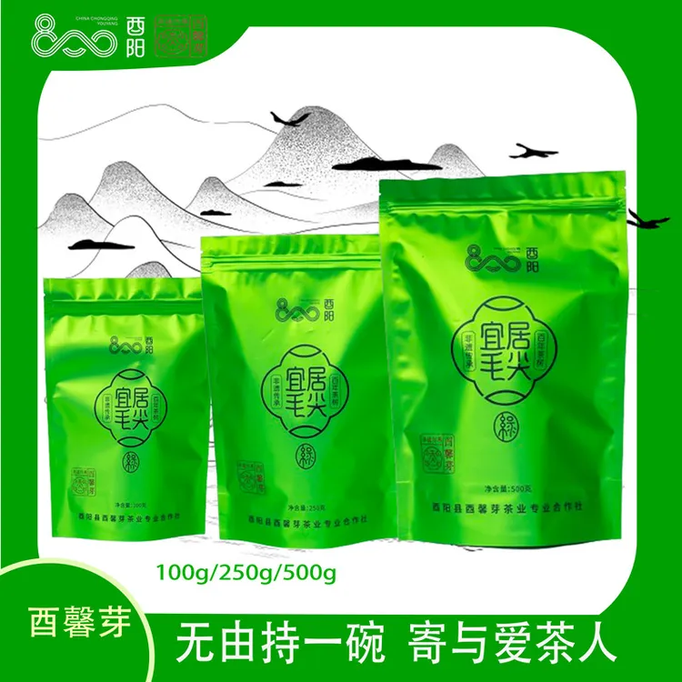 酉馨芽 宜居毛尖（特级绿茶）袋装 100g/250g/500g新老包装随机发货