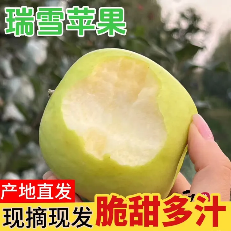 陕西正宗爆甜瑞雪苹果精品A级果脆甜多汁口感清甜净重4.8-5.2斤