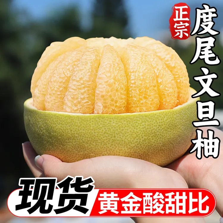 【精品无孔好果】5-10斤正宗福建莆田度尾文旦柚新鲜柚子水果产地