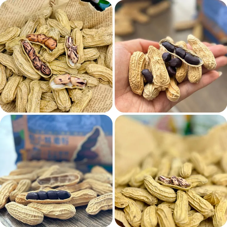 云南七彩花生黑花生滇西南傣家老品种新鲜口感云南七彩花生