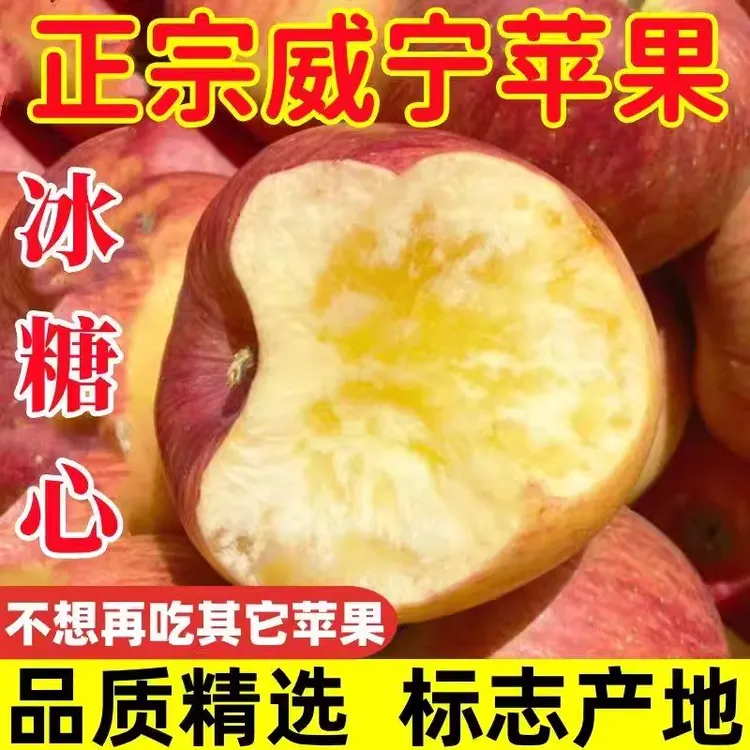 正宗威宁苹果高原冰糖心丑苹果脆甜现摘现发当季新鲜水果整箱