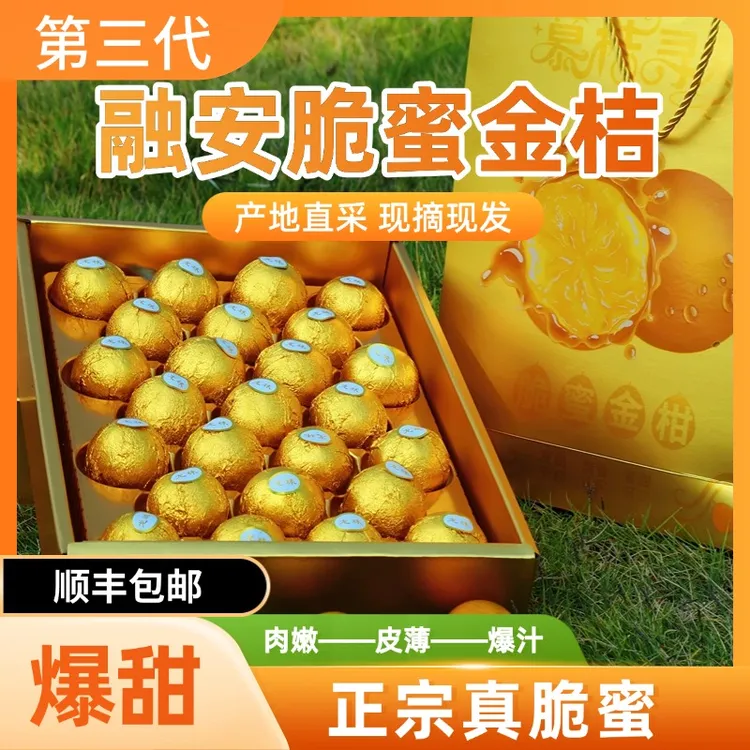 【精品礼盒装】广西融安金桔三代脆蜜金桔脆蜜金柑纯甜无籽多汁果王