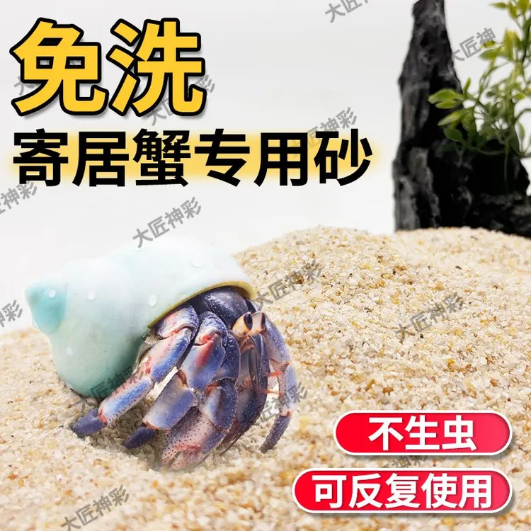 免洗海沙寄居蟹专用沙水草螃蟹底沙石乌龟铺底纯天然流沙鱼缸底砂