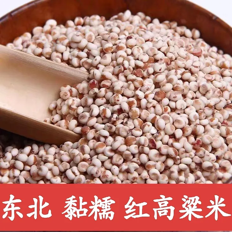 【节日专享】新米上市 锦粮典 红粘高粱米5斤 现磨现发 粘糯