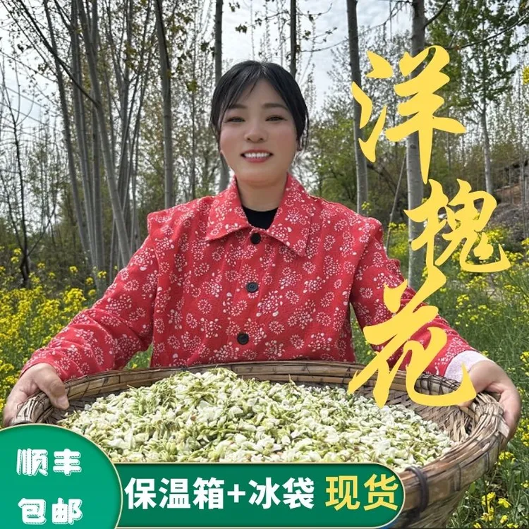 2024年新鲜洋槐花农产品现摘现发1/2/3/4斤顺丰包邮