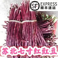 东台琴姐农家自种新鲜红豇豆现摘速发