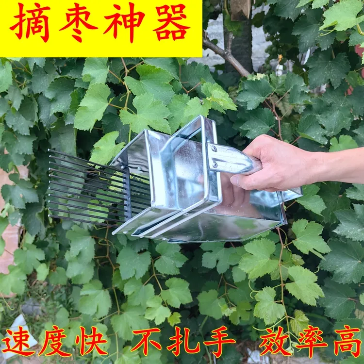 摘酸枣神器新款摘山枣摘酸枣芽新型不锈钢摘果器摘蓝莓摘枣器工具