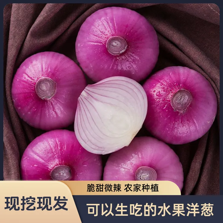紫皮水果洋葱甜圆葱5斤 新鲜现挖生吃脆甜微辣蔬菜农家种植元葱头