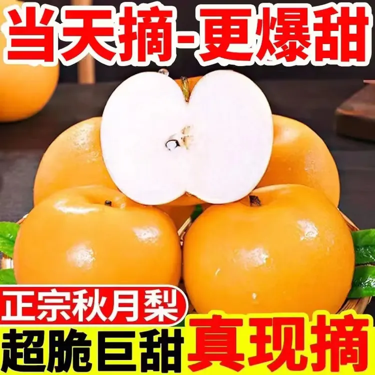 【爆甜】山东正宗秋月梨水果新鲜应季脆甜薄皮整箱包邮原产地香甜