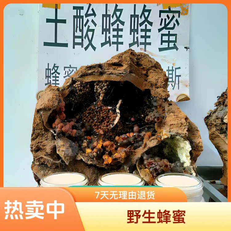 【土酸蜂蜜】云南西双版纳无刺蜂原蜜原蜂胶地下筑巢酸蜂蜜酵素蜂蜜