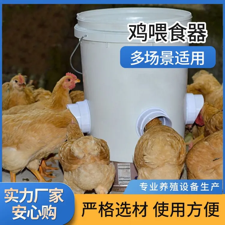 【丹箐】家禽养殖 自动喂食器喂食槽鸡饲料桶鸡鸭喂料器鸡鸭下料器
