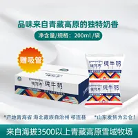 1【中秋好物】牦阿布纯牛奶200ml青海牛奶营养早餐奶纯牛奶送礼福利