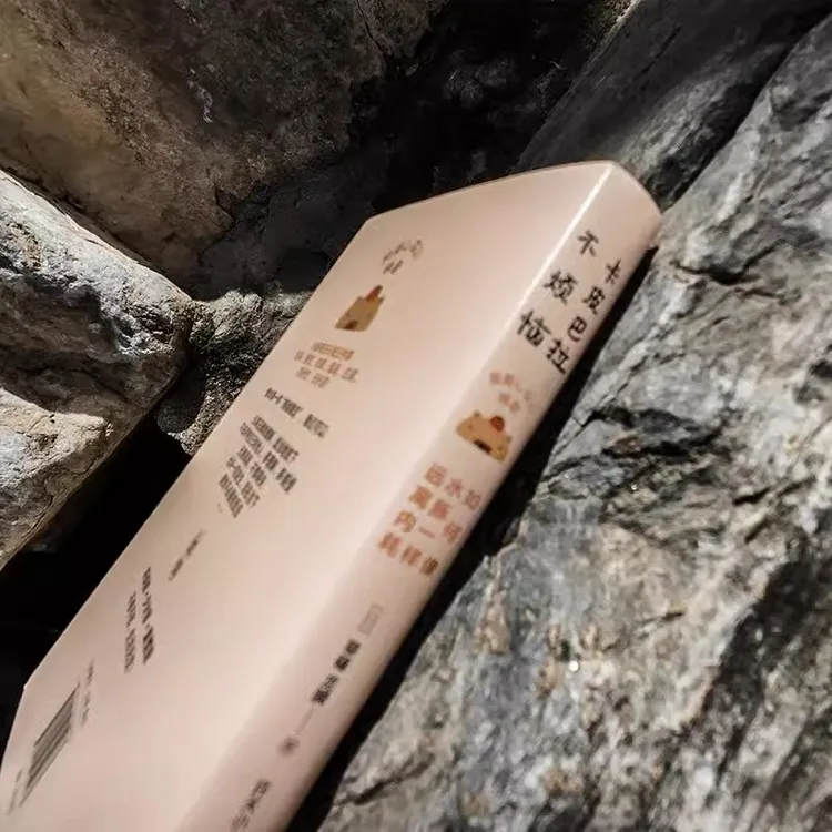 【文轩】卡皮巴拉不烦恼 如何像水豚一样远离内耗 心理疗愈 正