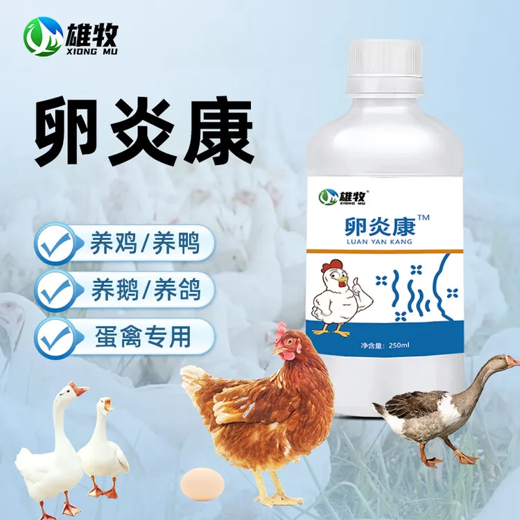 【雄牧】卵炎康鸽子鹌鹑通用饲料添加剂商品图