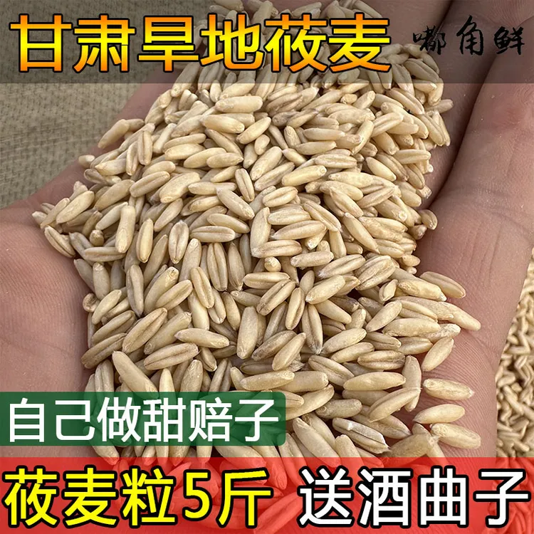 嘟角鲜旱地莜麦子5斤送酒曲1包做甜赔甜胚子玉麦甘肃农家杂粮