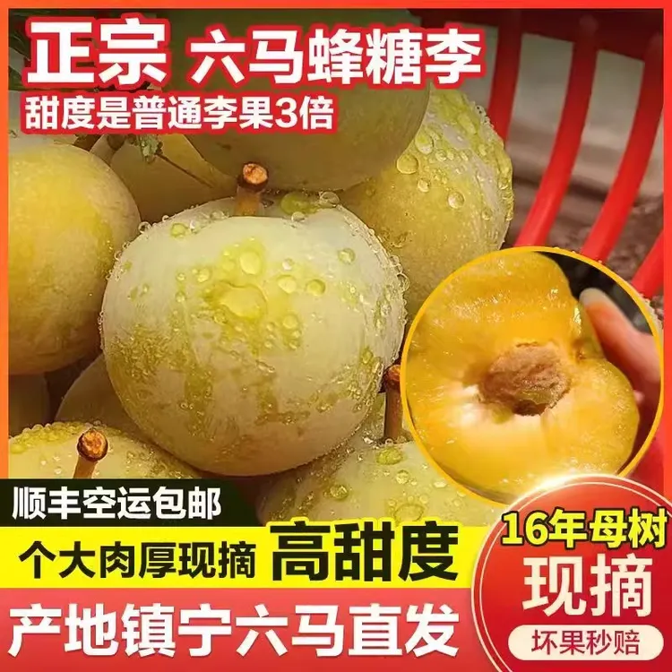 贵州正宗生态六马蜂糖李子纯甜脱骨李孕妇应季水果礼盒装
