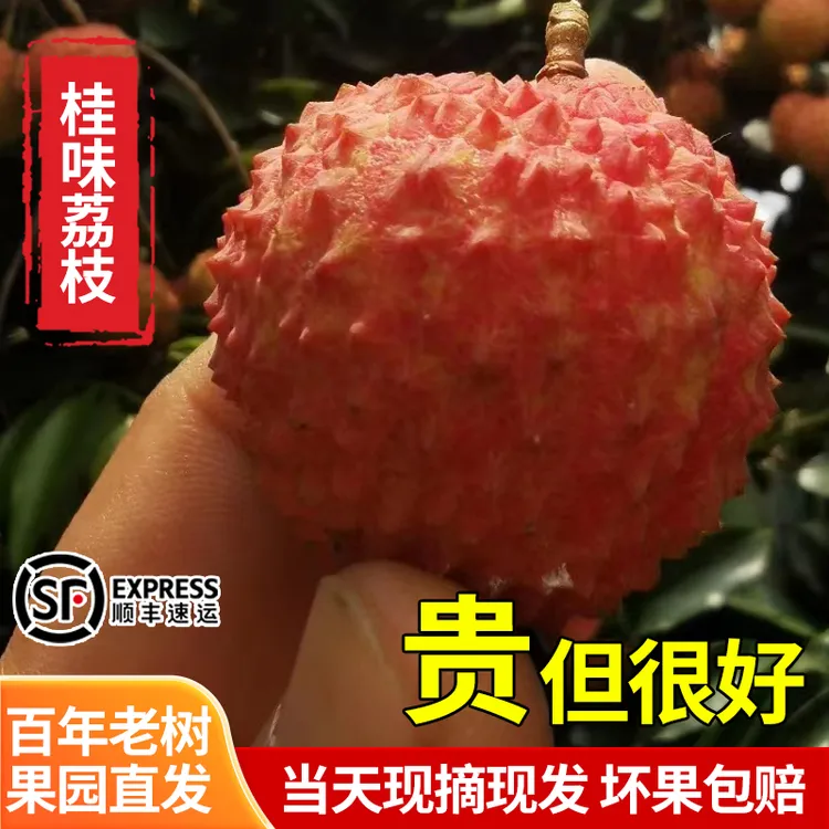 【顺丰空运】广东桂味荔枝水果现摘现发1斤5斤10斤新鲜礼盒装