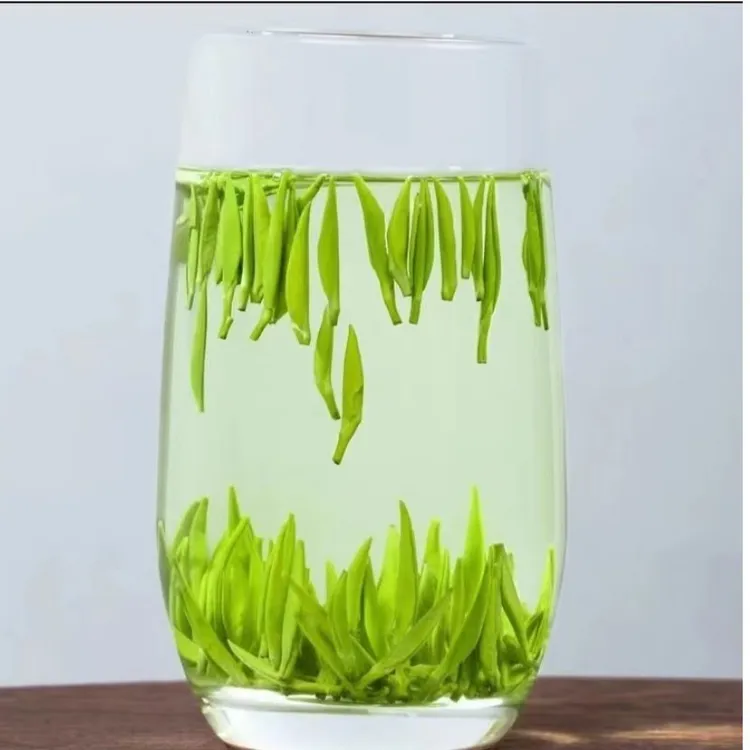 2025年新茶英山雀舌单芽茶叶