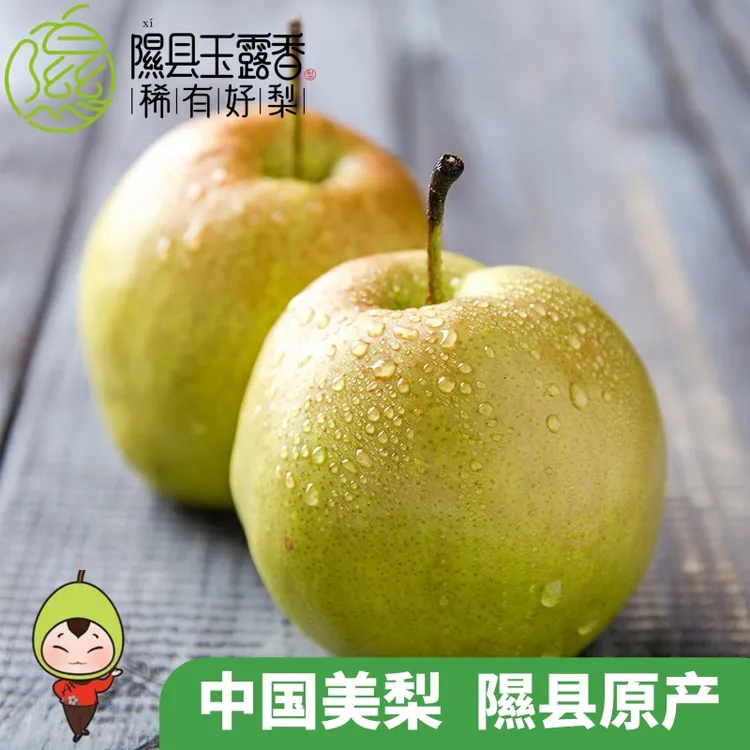 山西隰县玉露香梨送礼礼盒包装香脆多汁顺丰包邮（8斤/9斤10斤）