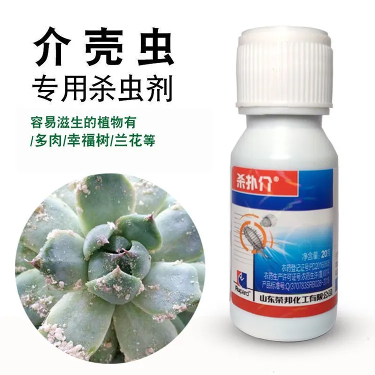 介壳虫 通用杀虫剂花卉园艺多肉噻嗪酮果树兰花常见棉絮蚧矢尖蚧