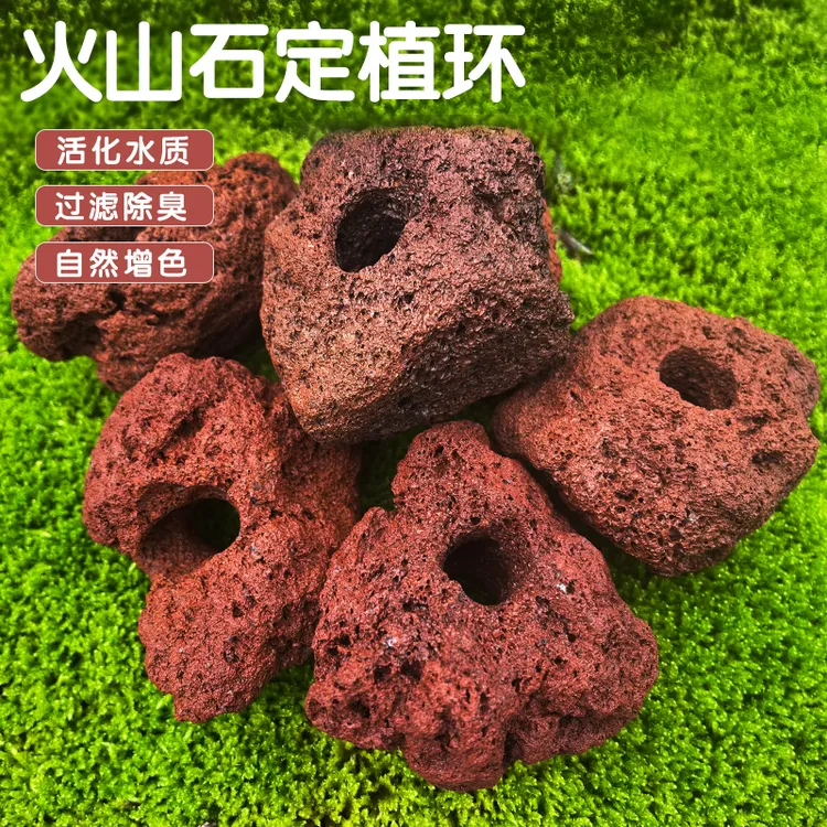 鱼缸水草种植固定红色打孔火山石定植环鱼缸造景装饰底座钻孔